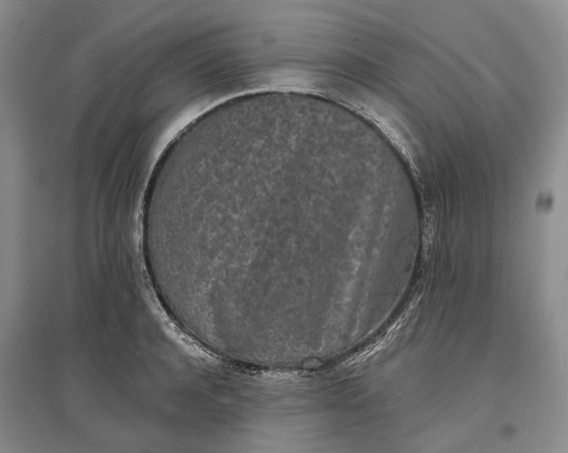 X0000097290944200802291748