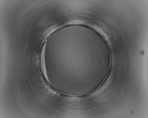 X0000097290945200802291748