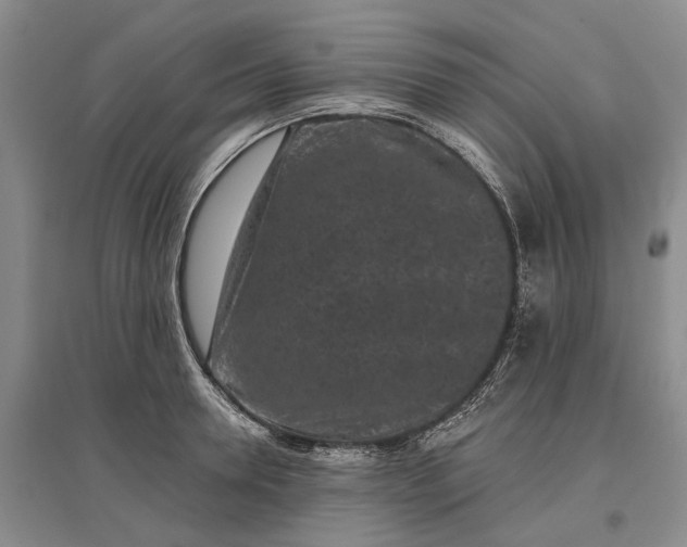 X0000097290946200802291748