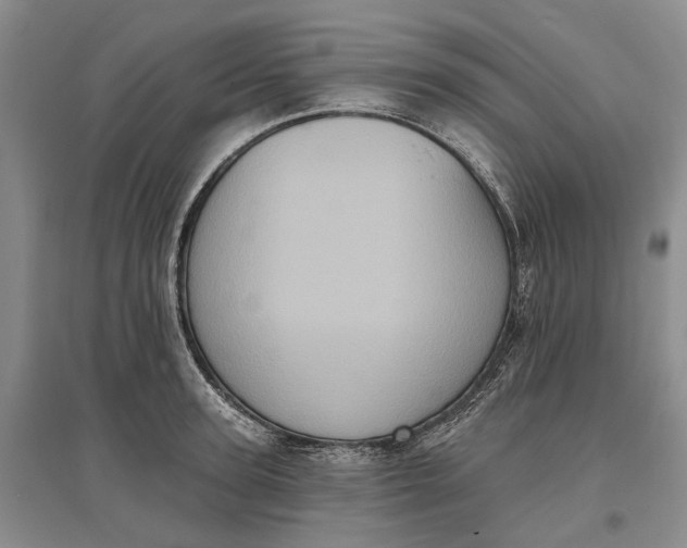 X0000097290947200802291748