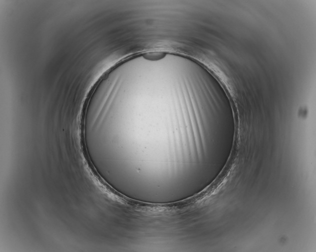 X0000097290949200802291748