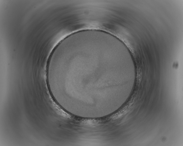 X0000097290950200802291748