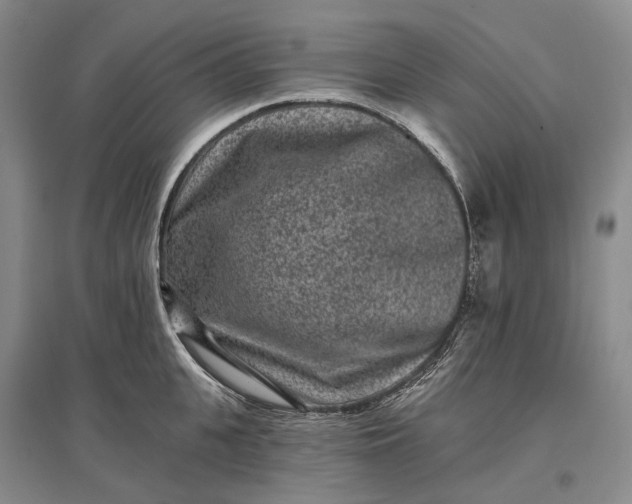 X0000097290951200802291748