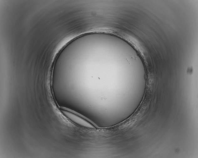 X0000097290952200802291748