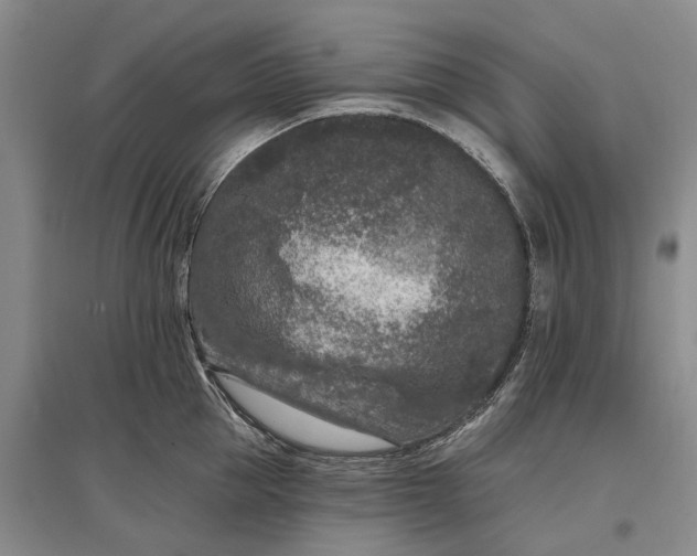 X0000097290953200802291748