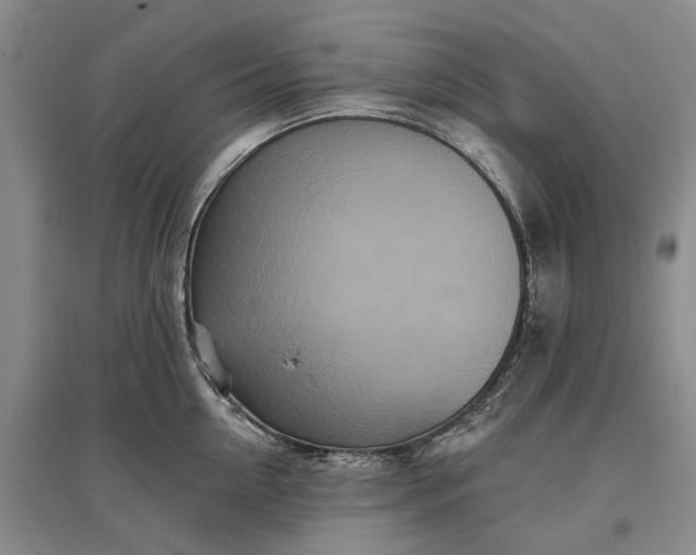 X0000097290954200802291748