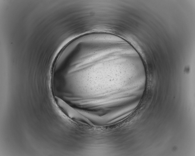 X0000097290955200802291748