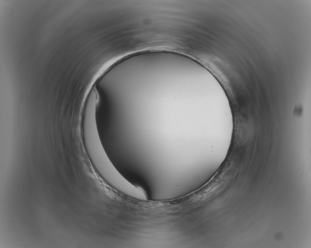 X0000097290956200802291748