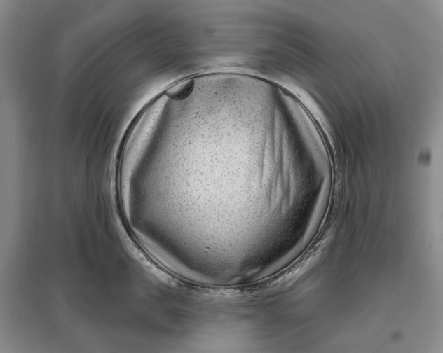 X0000097290957200802291748