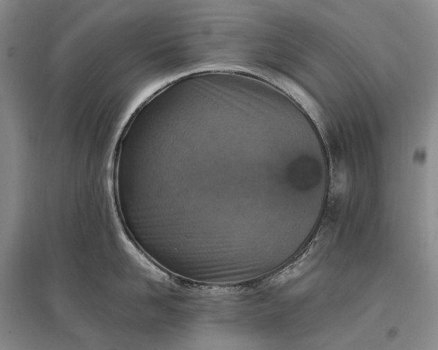 X0000097290958200802291748