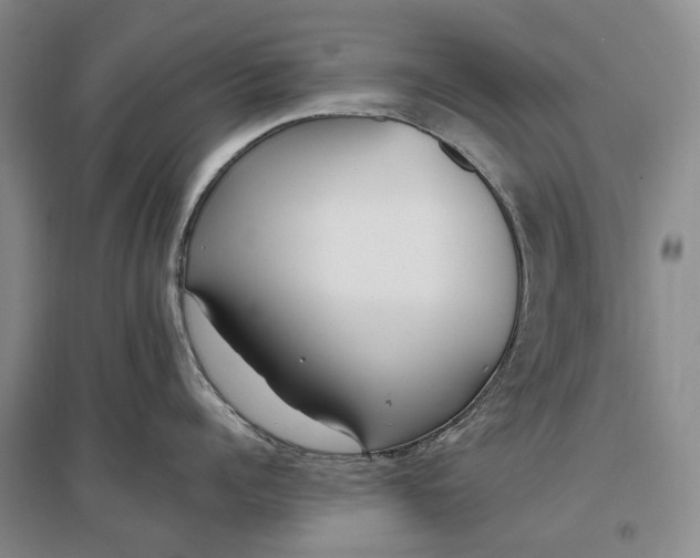 X0000097290960200802291748