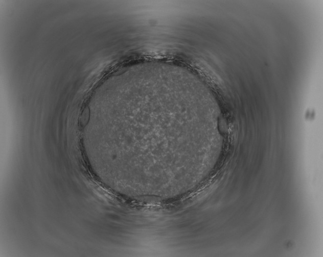 X0000097290961200802291747