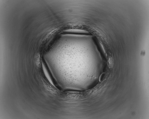 X0000097290963200802291747