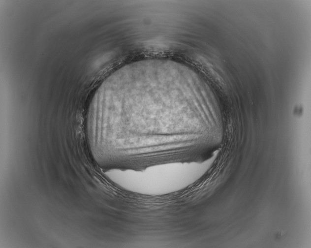 X0000097290964200802291747