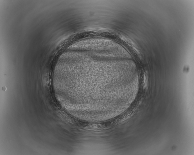 X0000097290966200802291747