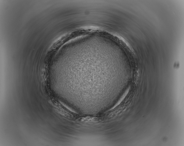 X0000097290967200802291747