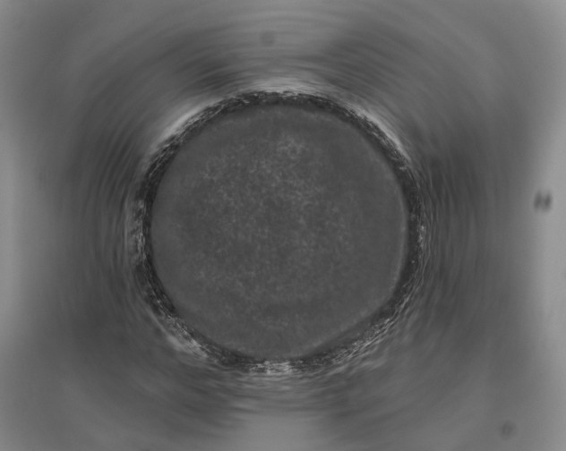 X0000097290968200802291747