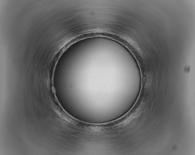 X0000097290969200802291747
