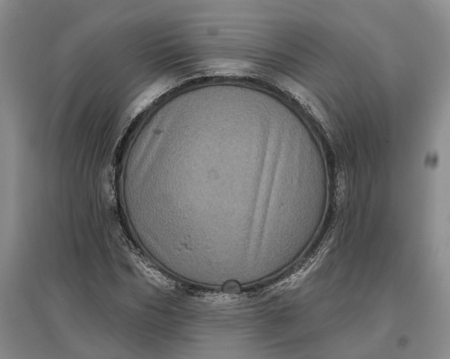 X0000097290970200802291747