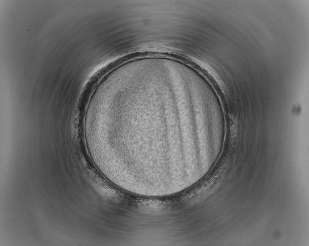 X0000097290971200802291747
