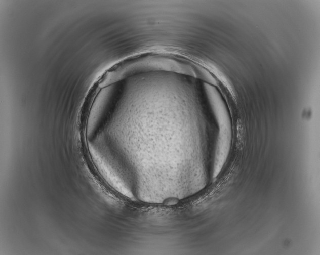 X0000097290972200802291747