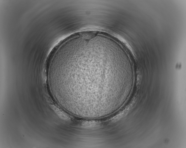X0000097290973200802291747
