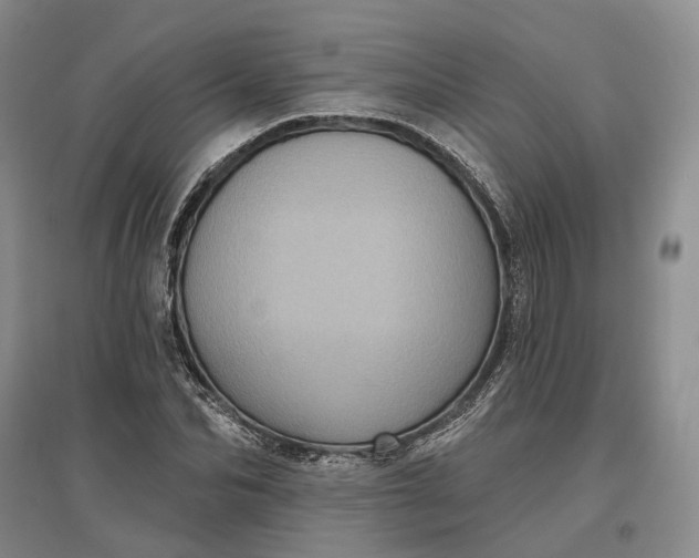 X0000097290974200802291747