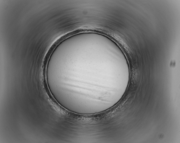 X0000097290976200802291747