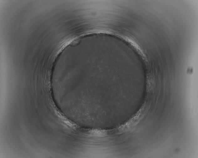 X0000097290977200802291747