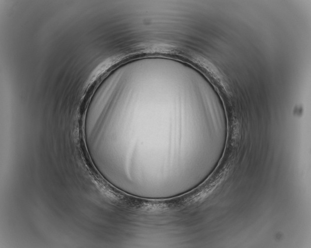 X0000097290978200802291747