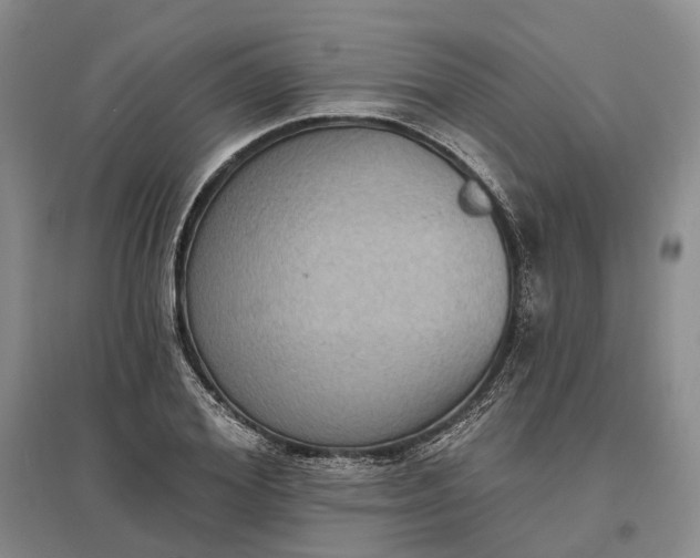 X0000097290980200802291747
