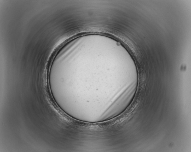 X0000097290982200802291747