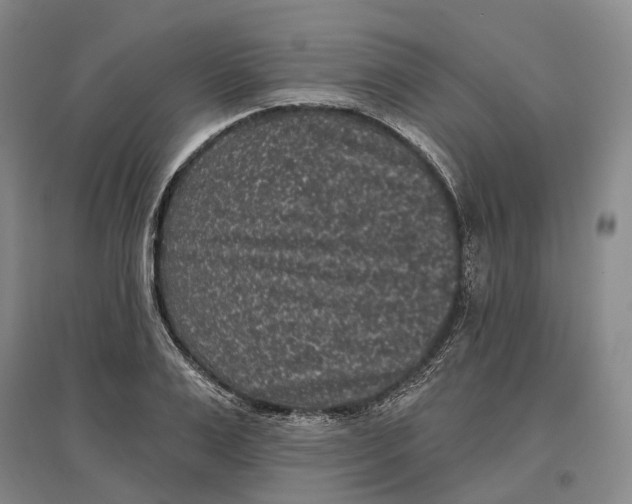 X0000097290983200802291747