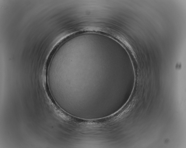 X0000097290984200802291747