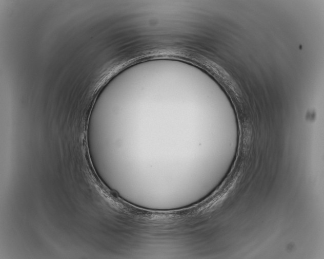 X0000097290985200802291747