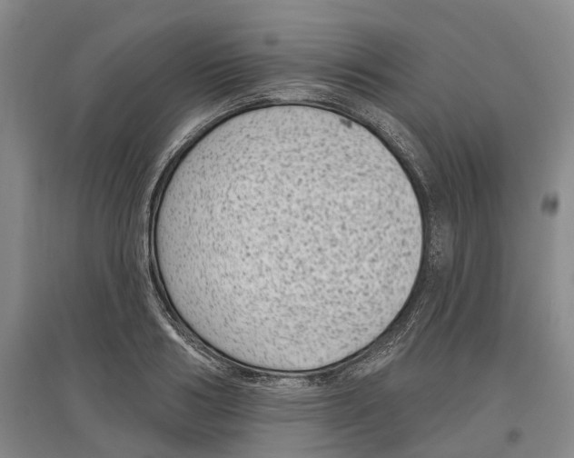 X0000097290986200802291747