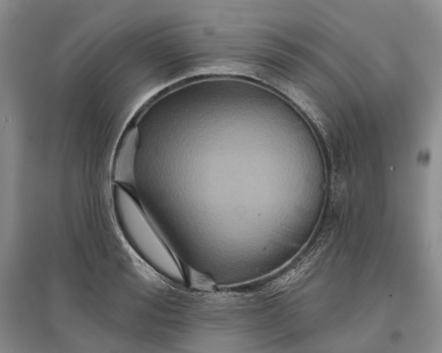 X0000097290988200802291747