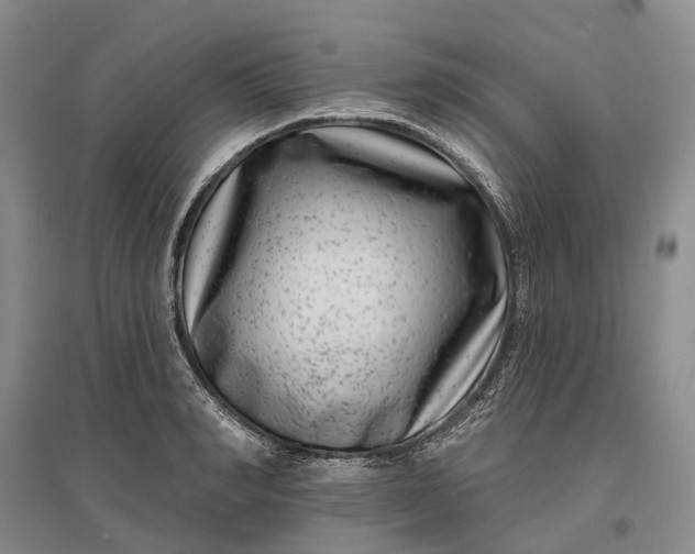X0000097290990200802291747