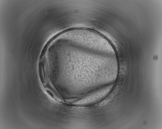 X0000097290991200802291747