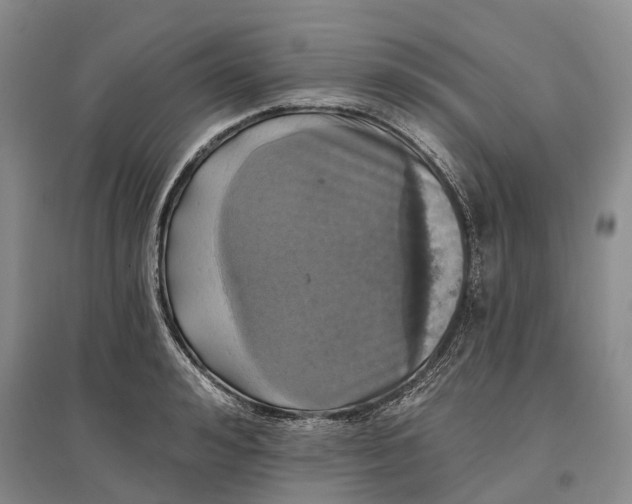 X0000097290992200802291747