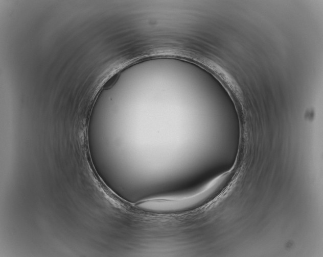 X0000097290993200802291747