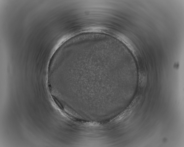 X0000097290994200802291746