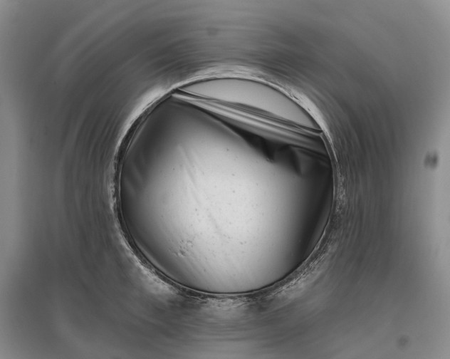 X0000097290997200802291746