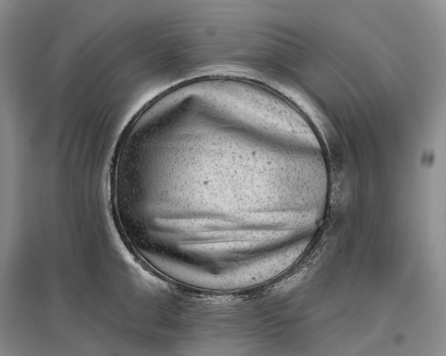 X0000097290999200802291746