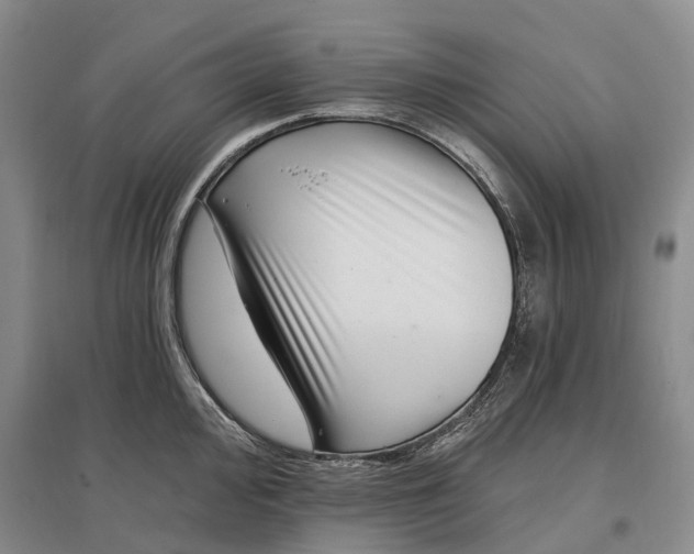 X0000097291000200802291746