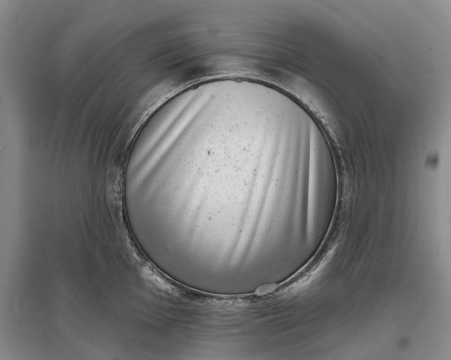 X0000097291001200802291746