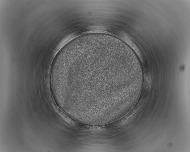 X0000097291002200802291746