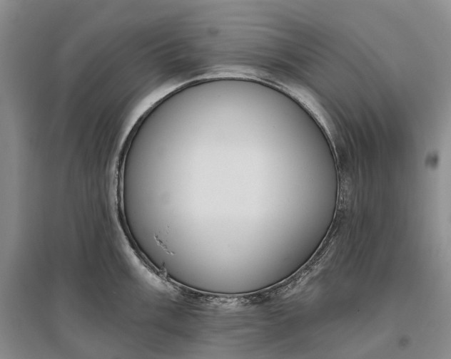 X0000097291003200802291746