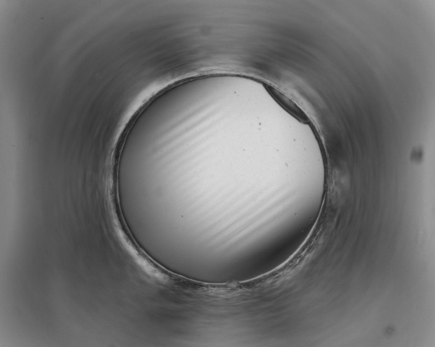 X0000097291005200802291746