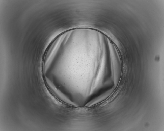 X0000097291006200802291746